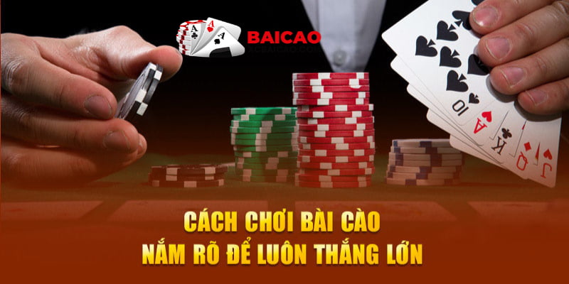 Chơi cào cái trên nhà cái online cơ hội ăn tiền cao hơn