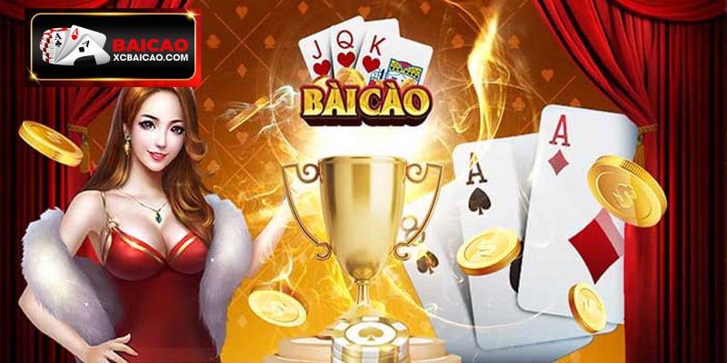 Bài cào online là game “ăn khách” nhất trong năm 2024 tại Việt Nam